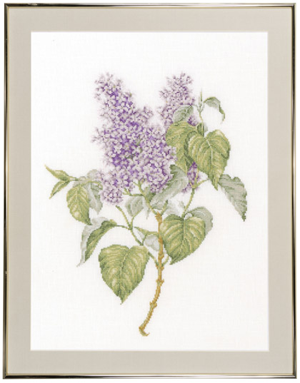 Lilac