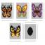 Cover per scatola di fazzoletti Butterflies