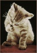 Gattino