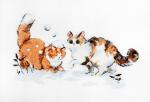 Gattini in inverno
