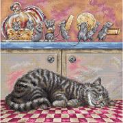 Quando il gatto dorme