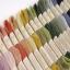 Cofanetto 30 colori Eco Vita 360 - Edizione Limitata