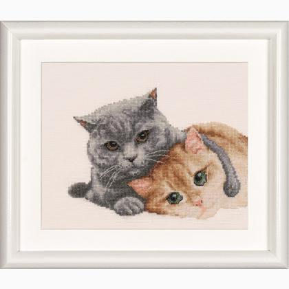 Cat Friends