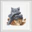 Hear no evil, See no evil, Speak no evil Cats