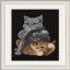 Hear no evil, See no evil, Speak no evil Cats - Nero