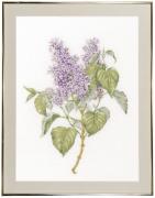 Lilac - Aida
