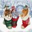 Gattini nella neve