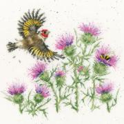 Feathers And Thistles