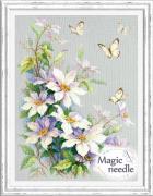Clematis