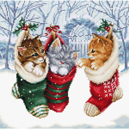 Gattini nella neve