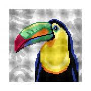 Tucano