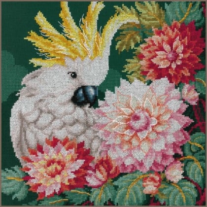 Dalia del Cacatua
