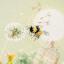 Meadow Stories - Bumblebee