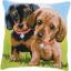 Cuscino: Cani