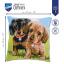 Cuscino: Cani