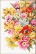 Coprimi di Tulipani