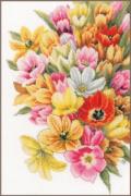 Coprimi di Tulipani - Aida