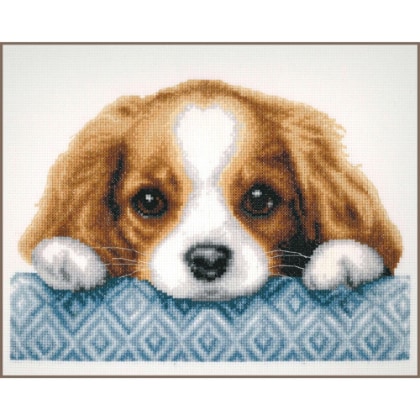 Cagnolino