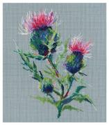 Thistle (Julia Girgel)
