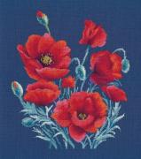 Poppies On Blue (Natalia Schmidt)