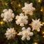 Kit decorazioni in feltro - Pearl Snowflakes