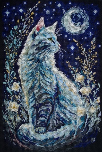 Ospite Notturno