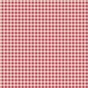 Woven Gingham Red
