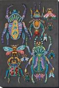 Coleotteri