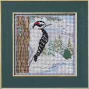 Winter Series - Winter Woodpecker
