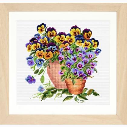 Potted Pansies - Aida