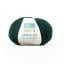 Perfetto Merino 120 - 00490 - Verde Bottiglia