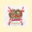 Christmas Cards - Sledgehogs
