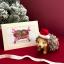 Christmas Cards - Sledgehogs