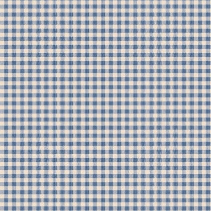 Woven Gingham Blue