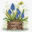 Sapphire Flower