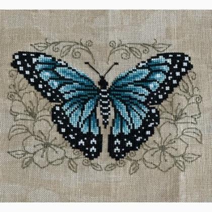 Blue Butterfly