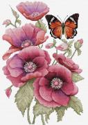 The Scent of Anemones