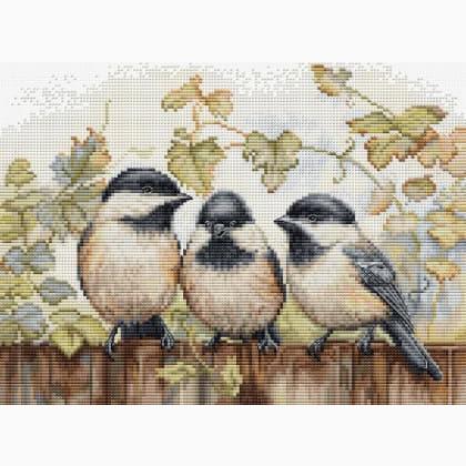 Chickadees On The Fence