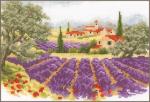 Paesaggio di lavanda