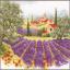 Paesaggio di lavanda