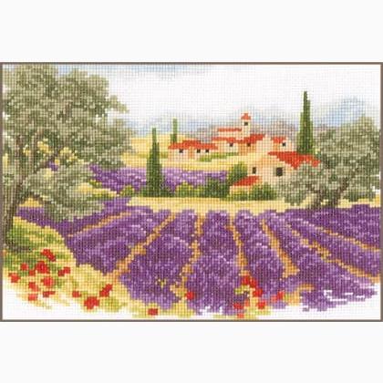 Paesaggio di lavanda