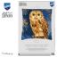 Cuscino - Gufo