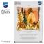 Cuscino - Foresta d'autunno