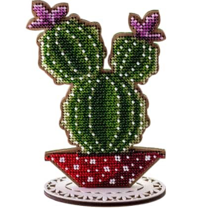 Cactus colonnari - Viola