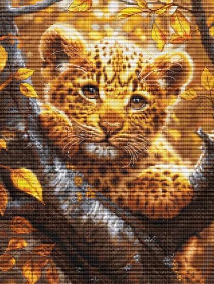 Leopard Cub at Sunrise 