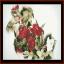 Charles Demuth - Rose