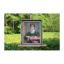 Peonies - 1887 (Charles Edward Perugini)