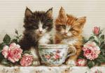 Morning of the Cats