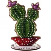 Cactus colonnari - Viola