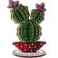Cactus colonnari - Viola